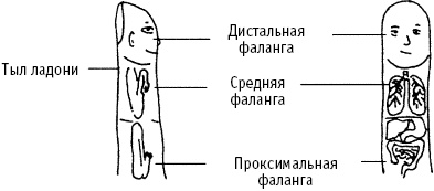 Большой атлас целительных точек. Китайская медицина на страже здоровья и долголетия Большой атлас целительных точек. Китайская медицина на страже здоровья и долголетия