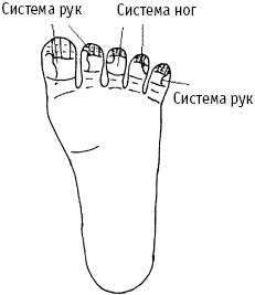 Большой атлас целительных точек. Китайская медицина на страже здоровья и долголетия Большой атлас целительных точек. Китайская медицина на страже здоровья и долголетия