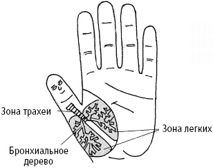 Большой атлас целительных точек. Китайская медицина на страже здоровья и долголетия Большой атлас целительных точек. Китайская медицина на страже здоровья и долголетия
