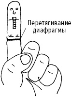 Большой атлас целительных точек. Китайская медицина на страже здоровья и долголетия Большой атлас целительных точек. Китайская медицина на страже здоровья и долголетия
