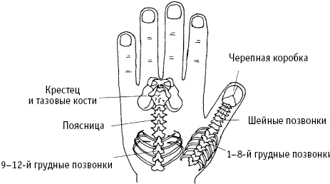 Большой атлас целительных точек. Китайская медицина на страже здоровья и долголетия Большой атлас целительных точек. Китайская медицина на страже здоровья и долголетия