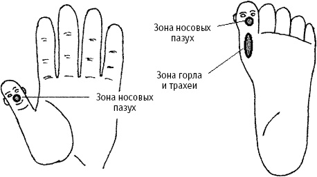 Большой атлас целительных точек. Китайская медицина на страже здоровья и долголетия Большой атлас целительных точек. Китайская медицина на страже здоровья и долголетия