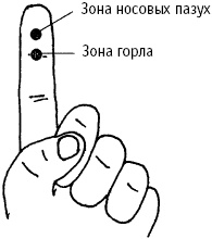 Большой атлас целительных точек. Китайская медицина на страже здоровья и долголетия Большой атлас целительных точек. Китайская медицина на страже здоровья и долголетия