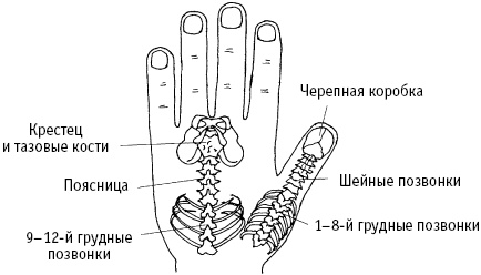 Большой атлас целительных точек. Китайская медицина на страже здоровья и долголетия Большой атлас целительных точек. Китайская медицина на страже здоровья и долголетия