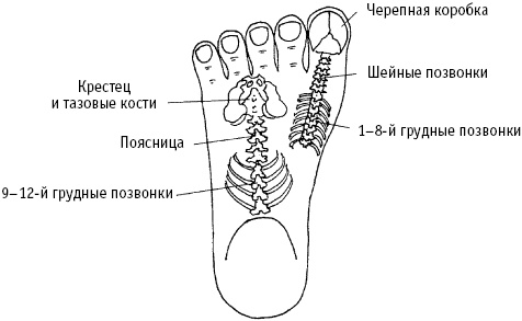 Большой атлас целительных точек. Китайская медицина на страже здоровья и долголетия Большой атлас целительных точек. Китайская медицина на страже здоровья и долголетия