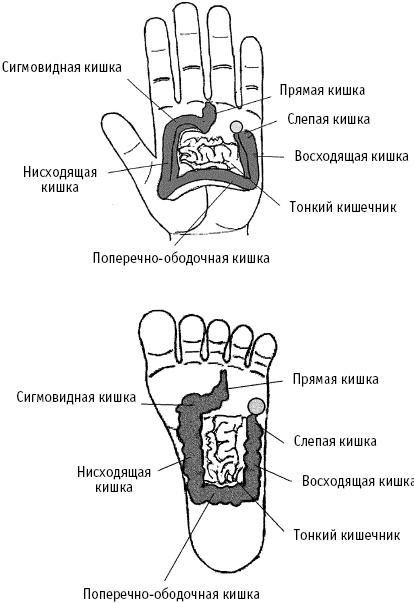 Большой атлас целительных точек. Китайская медицина на страже здоровья и долголетия Большой атлас целительных точек. Китайская медицина на страже здоровья и долголетия