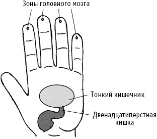 Большой атлас целительных точек. Китайская медицина на страже здоровья и долголетия Большой атлас целительных точек. Китайская медицина на страже здоровья и долголетия