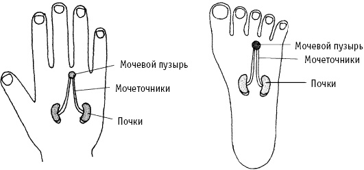 Большой атлас целительных точек. Китайская медицина на страже здоровья и долголетия Большой атлас целительных точек. Китайская медицина на страже здоровья и долголетия
