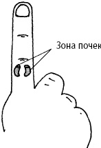 Большой атлас целительных точек. Китайская медицина на страже здоровья и долголетия Большой атлас целительных точек. Китайская медицина на страже здоровья и долголетия