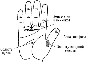 Большой атлас целительных точек. Китайская медицина на страже здоровья и долголетия Большой атлас целительных точек. Китайская медицина на страже здоровья и долголетия