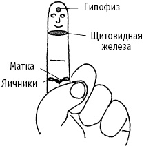 Большой атлас целительных точек. Китайская медицина на страже здоровья и долголетия Большой атлас целительных точек. Китайская медицина на страже здоровья и долголетия