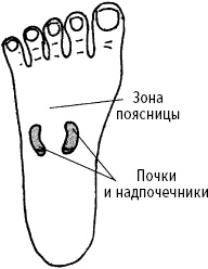 Большой атлас целительных точек. Китайская медицина на страже здоровья и долголетия Большой атлас целительных точек. Китайская медицина на страже здоровья и долголетия