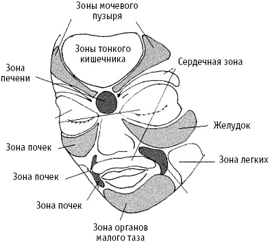 Большой атлас целительных точек. Китайская медицина на страже здоровья и долголетия Большой атлас целительных точек. Китайская медицина на страже здоровья и долголетия