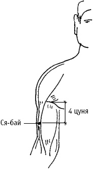 Большой атлас целительных точек. Китайская медицина на страже здоровья и долголетия Большой атлас целительных точек. Китайская медицина на страже здоровья и долголетия