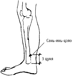 Большой атлас целительных точек. Китайская медицина на страже здоровья и долголетия Большой атлас целительных точек. Китайская медицина на страже здоровья и долголетия