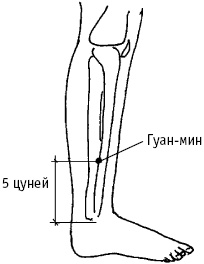 Большой атлас целительных точек. Китайская медицина на страже здоровья и долголетия Большой атлас целительных точек. Китайская медицина на страже здоровья и долголетия
