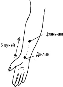 Большой атлас целительных точек. Китайская медицина на страже здоровья и долголетия Большой атлас целительных точек. Китайская медицина на страже здоровья и долголетия