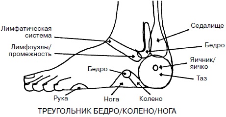 Целительные точки нашего тела. Практический атлас Целительные точки нашего тела. Практический атлас