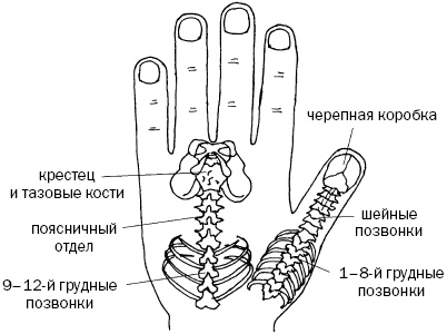 Простукивание активных точек - метод пробуждения целительной энергии. С подробным атласом Простукивание активных точек - метод пробуждения целительной энергии. С подробным атласом