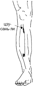 Простукивание активных точек - метод пробуждения целительной энергии. С подробным атласом Простукивание активных точек - метод пробуждения целительной энергии. С подробным атласом