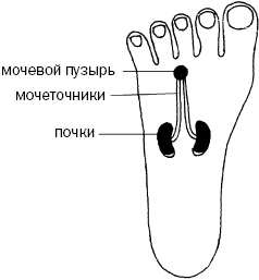 Простукивание активных точек - метод пробуждения целительной энергии. С подробным атласом Простукивание активных точек - метод пробуждения целительной энергии. С подробным атласом