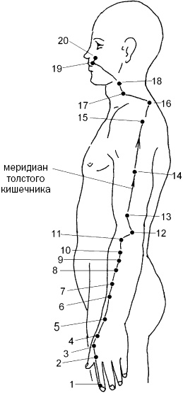 Простукивание активных точек - метод пробуждения целительной энергии. С подробным атласом Простукивание активных точек - метод пробуждения целительной энергии. С подробным атласом