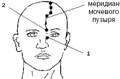 Простукивание активных точек - метод пробуждения целительной энергии. С подробным атласом Простукивание активных точек - метод пробуждения целительной энергии. С подробным атласом