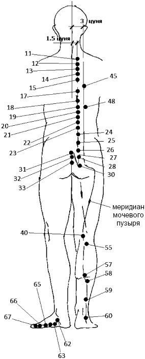 Простукивание активных точек - метод пробуждения целительной энергии. С подробным атласом Простукивание активных точек - метод пробуждения целительной энергии. С подробным атласом