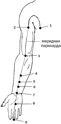 Простукивание активных точек - метод пробуждения целительной энергии. С подробным атласом Простукивание активных точек - метод пробуждения целительной энергии. С подробным атласом