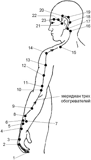 Простукивание активных точек - метод пробуждения целительной энергии. С подробным атласом Простукивание активных точек - метод пробуждения целительной энергии. С подробным атласом