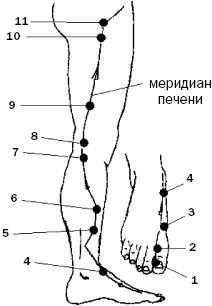 Простукивание активных точек - метод пробуждения целительной энергии. С подробным атласом Простукивание активных точек - метод пробуждения целительной энергии. С подробным атласом