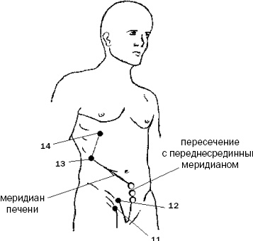 Простукивание активных точек - метод пробуждения целительной энергии. С подробным атласом Простукивание активных точек - метод пробуждения целительной энергии. С подробным атласом
