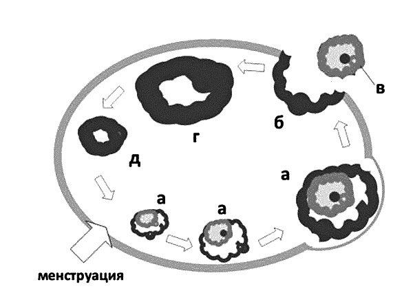 Бесплодие – не приговор! Бесплодие – не приговор!
