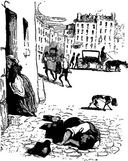 От знахаря до врача. История науки врачевания От знахаря до врача. История науки врачевания