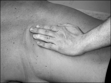 Массаж от классики до экзотики. Полная энциклопедия систем, видов, техник, методик Массаж от классики до экзотики. Полная энциклопедия систем, видов, техник, методик