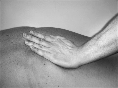 Массаж от классики до экзотики. Полная энциклопедия систем, видов, техник, методик Массаж от классики до экзотики. Полная энциклопедия систем, видов, техник, методик