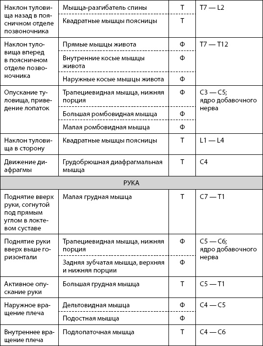 Скульптурная гимнастика для мышц, суставов и внутренних органов Скульптурная гимнастика для мышц, суставов и внутренних органов