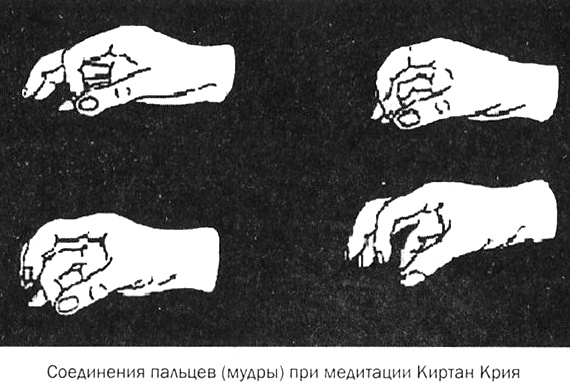 Мозг против лишнего веса Мозг против лишнего веса