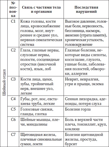 За рулем без боли в спине За рулем без боли в спине