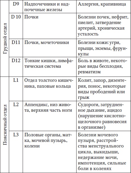 За рулем без боли в спине За рулем без боли в спине