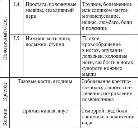За рулем без боли в спине За рулем без боли в спине