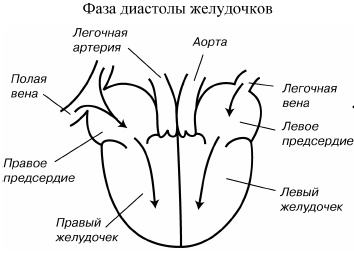 Детское сердечко Детское сердечко
