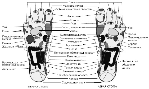 Йога и сексуальные практики Йога и сексуальные практики