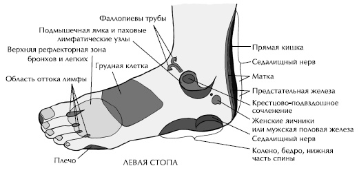 Йога и сексуальные практики Йога и сексуальные практики