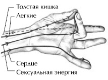Йога и сексуальные практики Йога и сексуальные практики