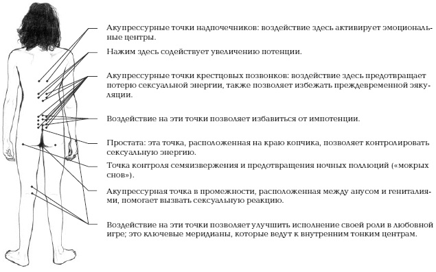 Йога и сексуальные практики Йога и сексуальные практики