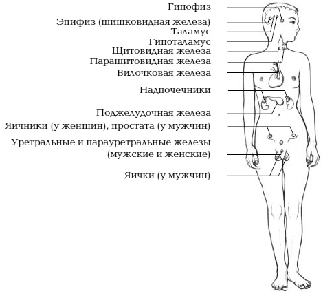 Йога и сексуальные практики Йога и сексуальные практики