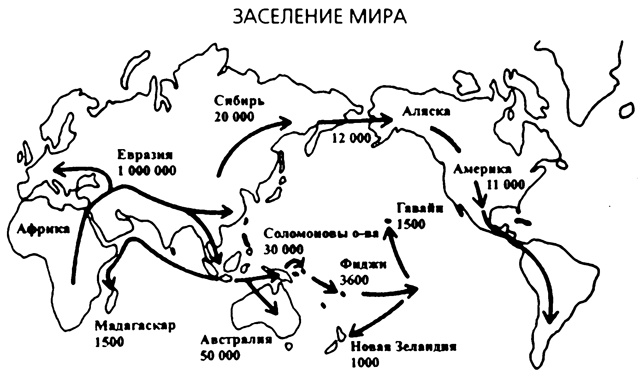 Третий шимпанзе Третий шимпанзе