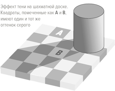 Теплая чашка в холодный день. Как физические ощущения влияют на наши решения Теплая чашка в холодный день. Как физические ощущения влияют на наши решения