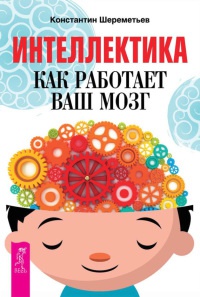 Интеллектика. Как работает ваш мозг - Константин Шереметьев